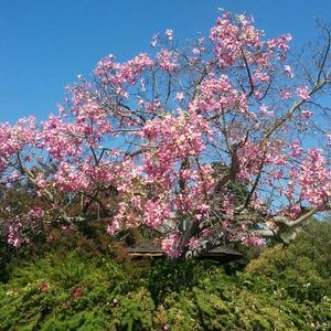 Meet your Posher, Skylar